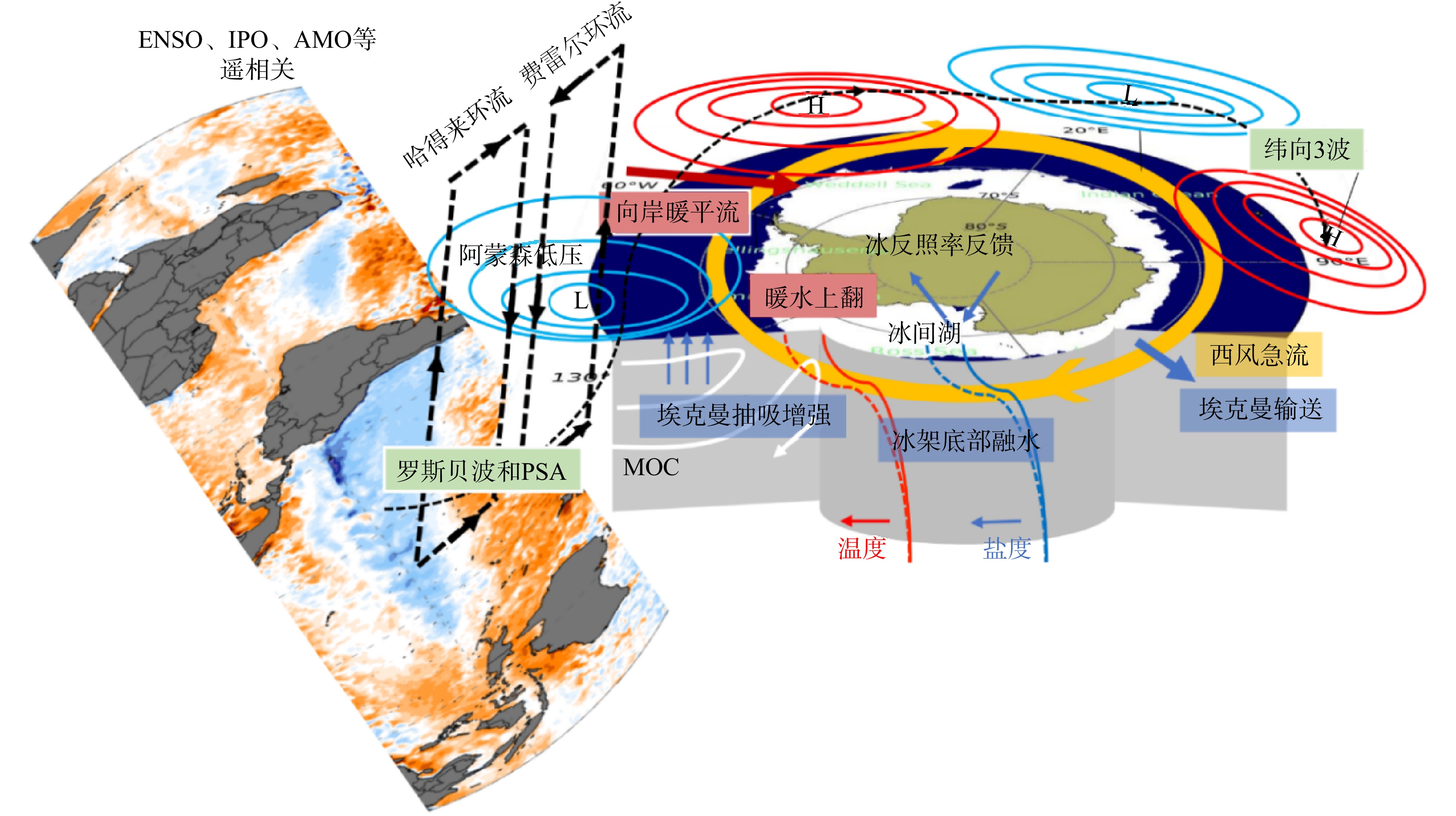 极地海冰快速变化及机制研究进展和挑战